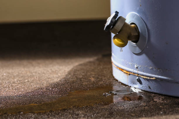 Best Water damage restoration services  in Spanish Fork, UT