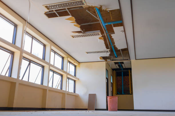 Best Sewage cleanup and water damage restoration  in Spanish Fork, UT
