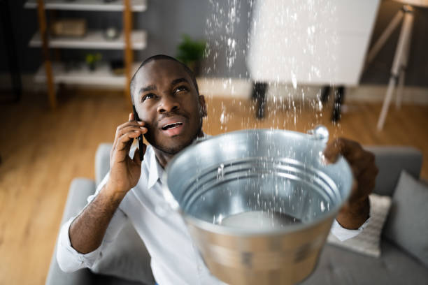 Best Water damage restoration near me  in Spanish Fork, UT