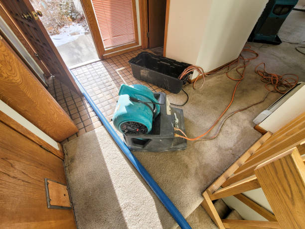 Best Water damage restoration company  in Spanish Fork, UT