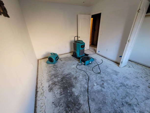Best Flood damage cleanup  in Spanish Fork, UT