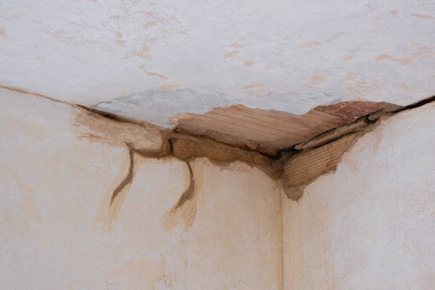 Best Sewage cleanup and water damage restoration  in Spanish Fork, UT