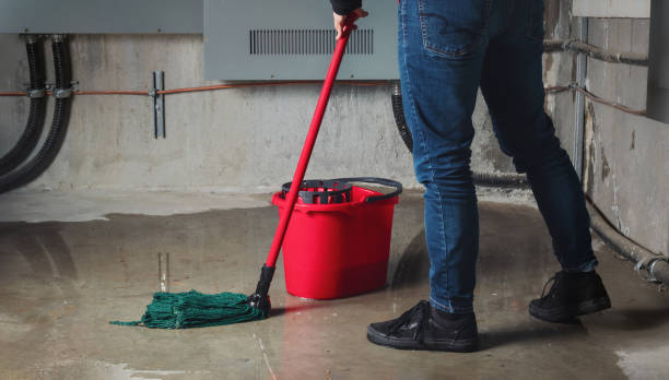 Best Basement water damage restoration  in Spanish Fork, UT