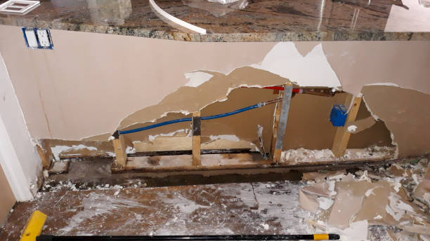Best Professional water damage repair  in Spanish Fork, UT