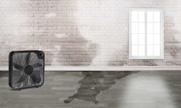Best Water damage restoration near me  in Spanish Fork, UT