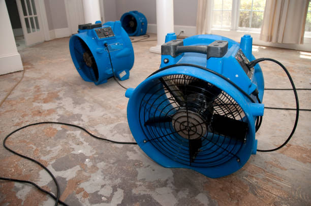Best Flooded house restoration  in Spanish Fork, UT