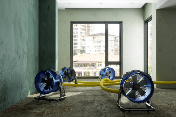 Best Fire Damage Restoration  in Spanish Fork, UT